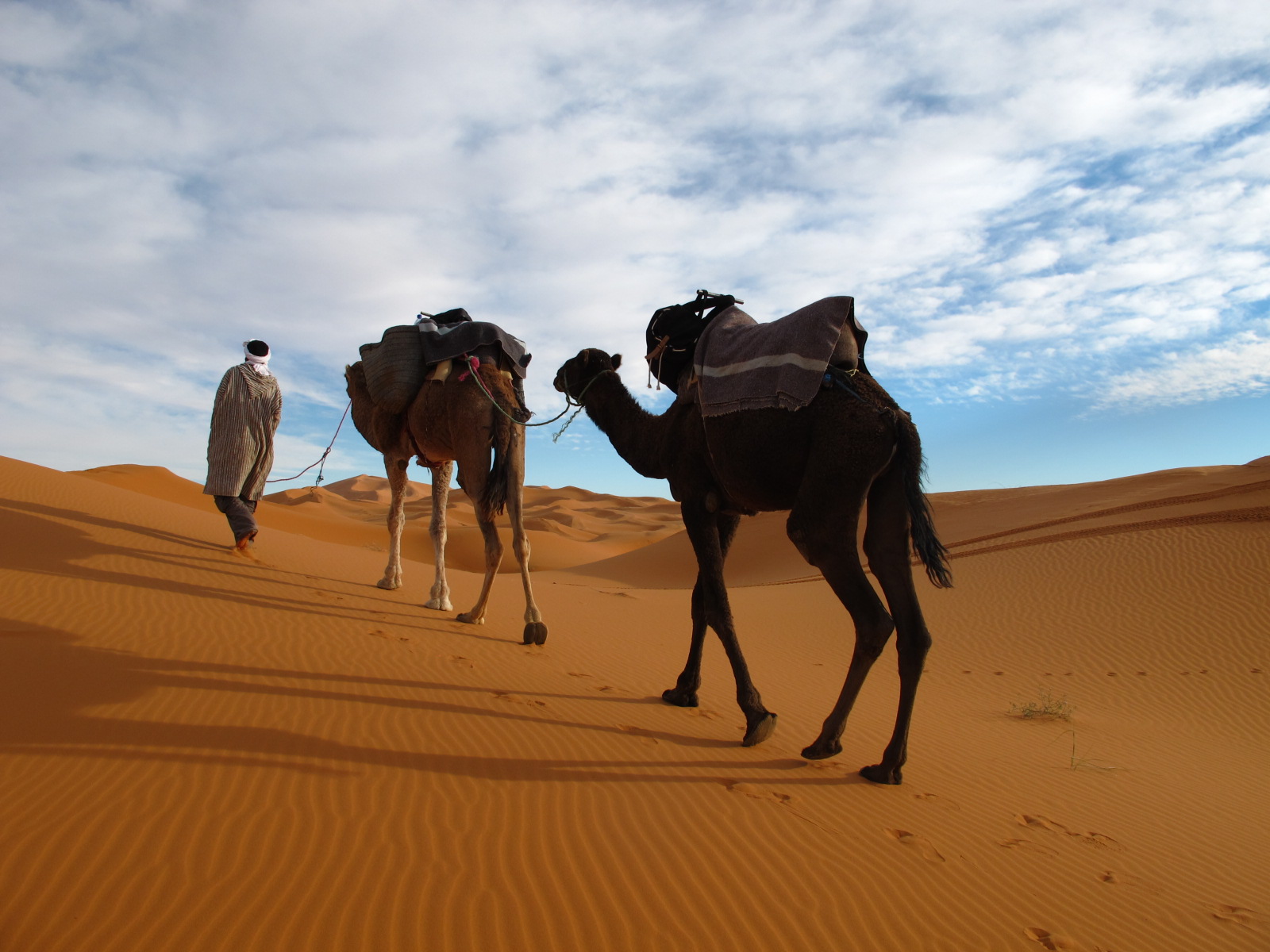 Tour de 5 dias desde Fez al desierto del Sahara que termina en Marrakech