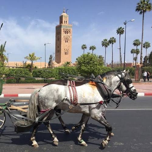 tours-from-marrakech